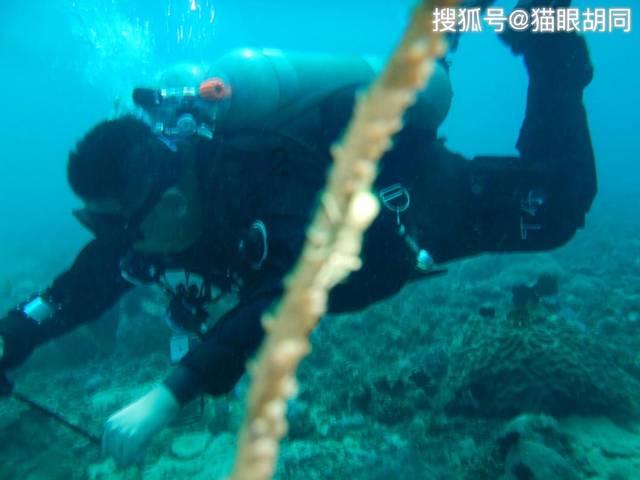 县委常委班子召开学习贯彻习近平新时代中国特色社会主义思想主题教育专题民主生活会